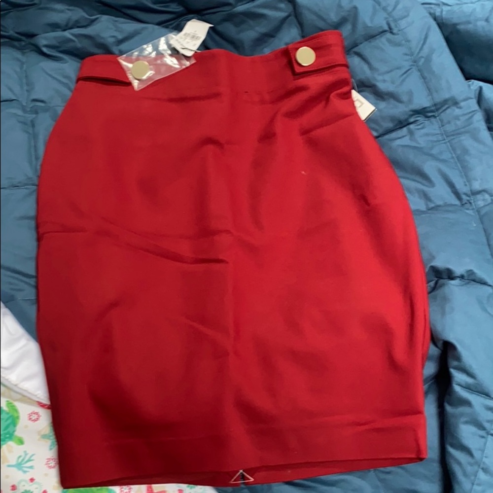 express pencil skirt